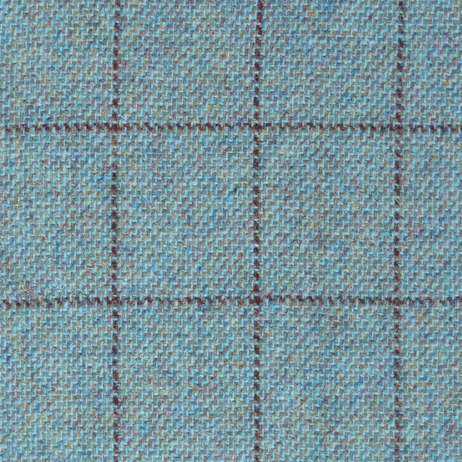 COL055